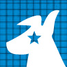 Sirius Satellite Radio